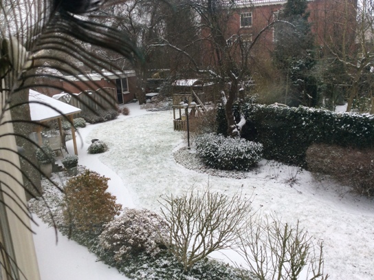 tuin Julianaplein Hof van Twente (Goor)